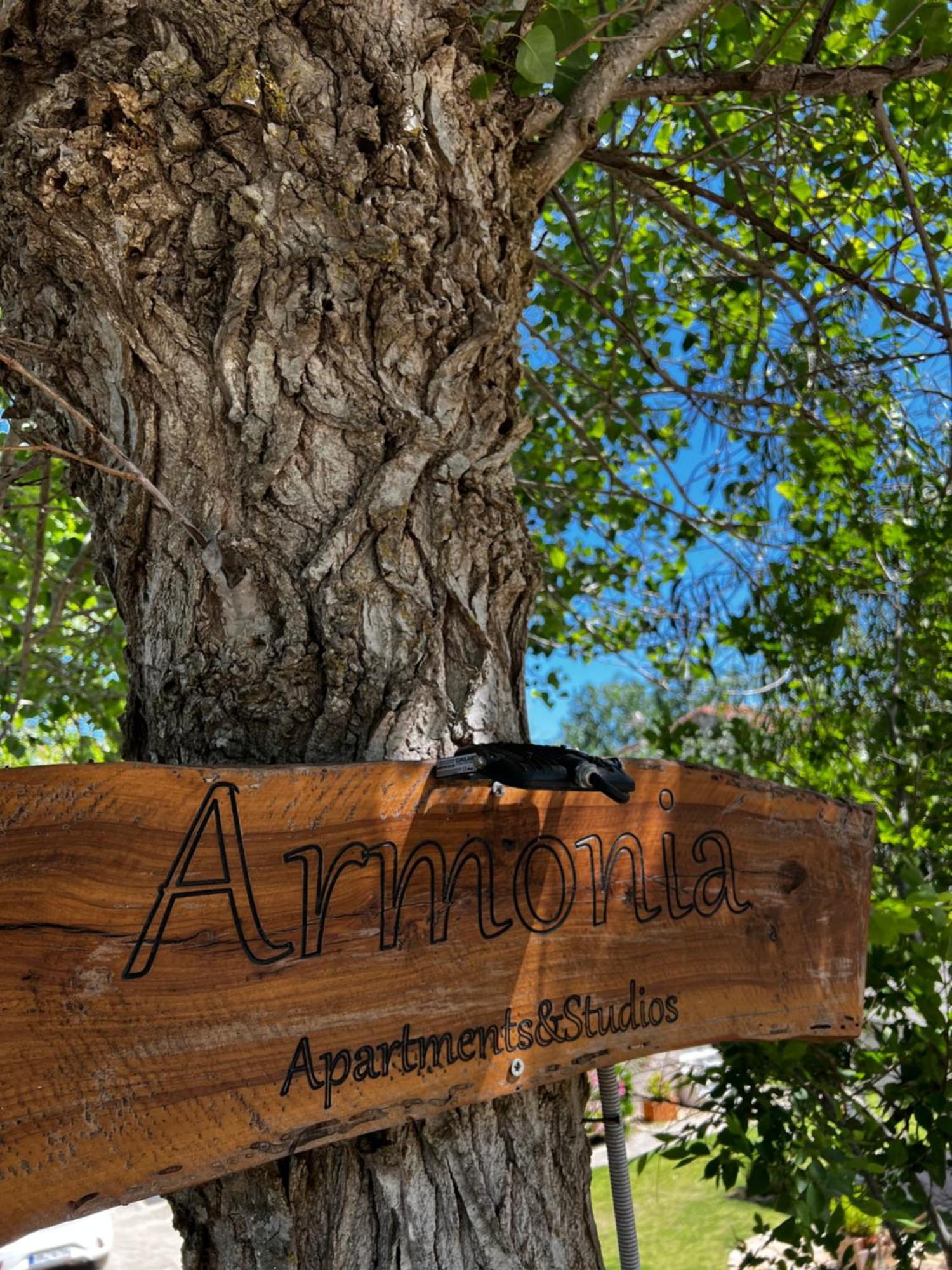 Armonia Apartments & Studios Perivolion Ngoại thất bức ảnh